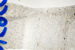 Plane Polarized, N5955