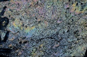 Cross Polarized, N5956