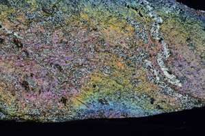 Cross Polarized, N5957