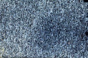 Cross Polarized, N5961