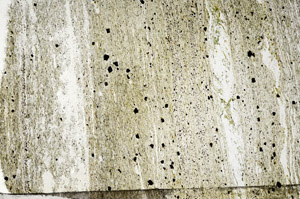 Plane Polarized, N5963