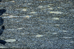 Cross Polarized, N5964