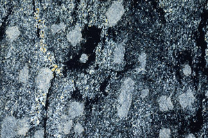 Cross Polarized, N5965