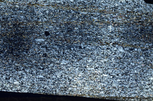 Cross Polarized, N5968