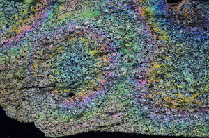 Cross Polarized, N5970