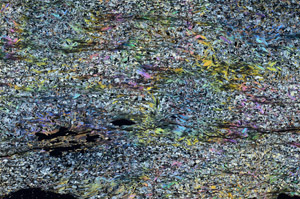 Cross Polarized, N5971