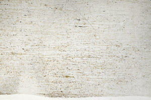 Plane Polarized, N5973