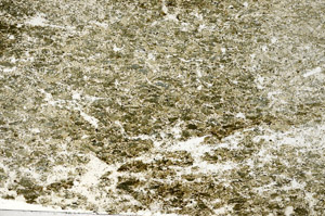 Plane Polarized, N5974