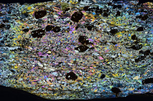 Cross Polarized, N5980