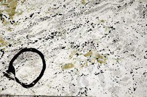 Plane Polarized, N5983