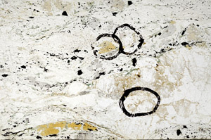 Plane Polarized, N5986
