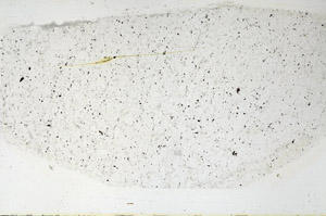 Plane Polarized, N6001