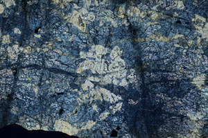 Cross Polarized, N6005