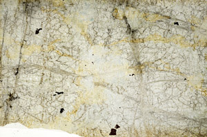 Plane Polarized, N6005