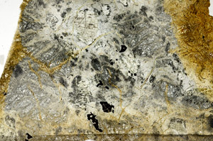 Plane Polarized, N6006