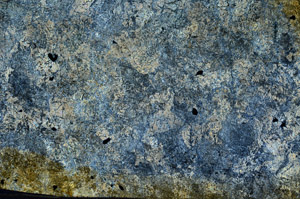 Cross Polarized, N6007