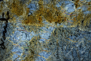 Cross Polarized, N6008