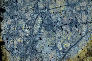 Cross Polarized, N6011