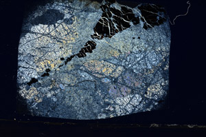 Cross Polarized, N6020