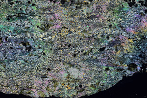 Cross Polarized, N6021