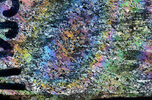 Cross Polarized, N6022/A