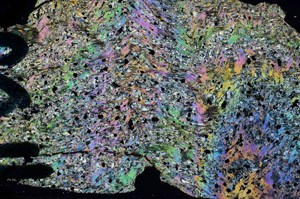 Cross Polarized, N6023