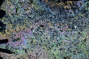 Cross Polarized, N6024