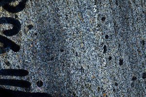 Cross Polarized, N6028