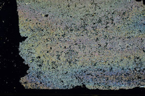 Cross Polarized, N6041