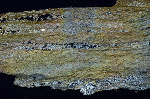 Cross Polarized, N6052