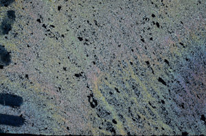 Cross Polarized, N6053