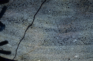 Cross Polarized, N6056