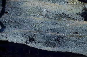 Cross Polarized, N6057