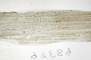 Plane Polarized, N6059