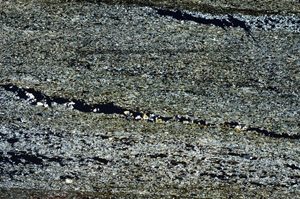 Cross Polarized, N6062