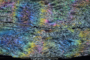 Cross Polarized, N6063
