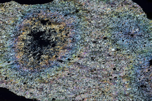 Cross Polarized, N6064
