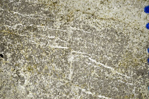 Plane Polarized, N6117