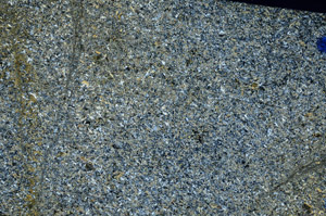 Cross Polarized, N6127