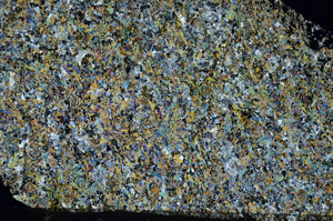 Cross Polarized, N6164