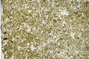 Plane Polarized, N6165/b
