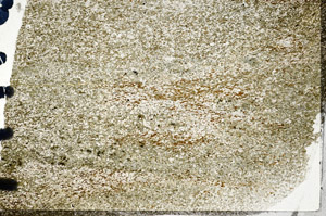 Plane Polarized, N6168