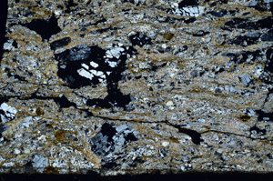 Cross Polarized, N6223