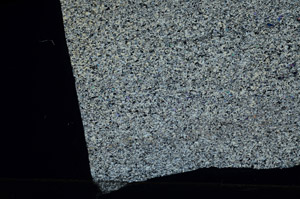 Cross Polarized, N6236