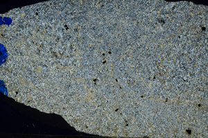 Cross Polarized, N6255