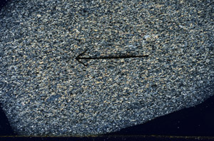 Cross Polarized, N6278/A