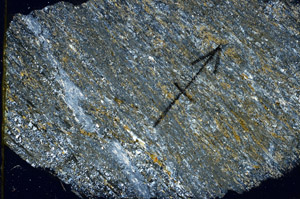 Cross Polarized, N6283