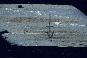 Cross Polarized, N6284