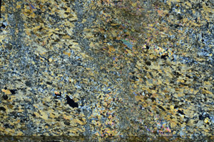 Cross Polarized, N6302