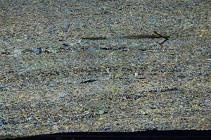 Cross Polarized, N6305